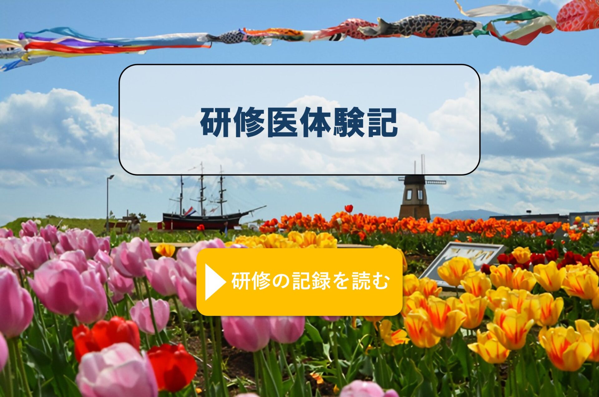 M.S先生